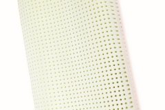 ANATOMICO-FORATO-VENICE